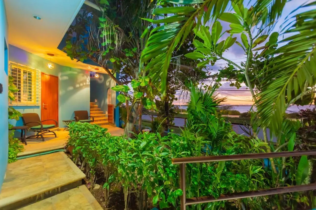 Casa Cielo Studio 1 With Tropical Garden Patio Isla Mujeres